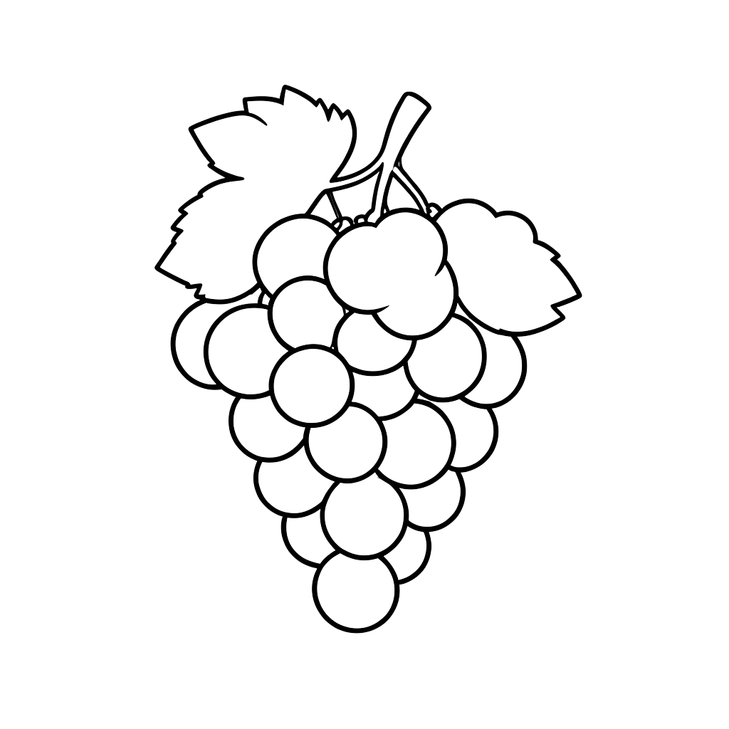 grapes #asset_20260920_072320_b428