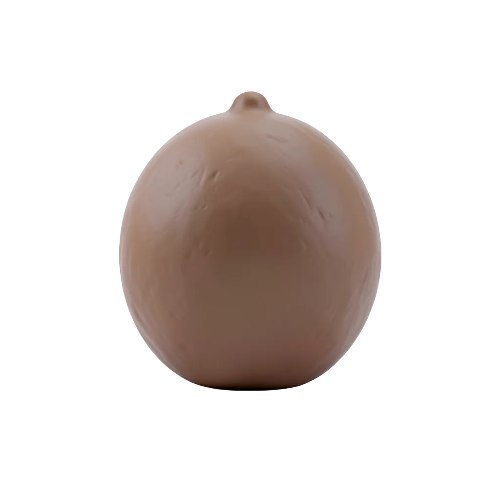 coconut #asset_20260920_072703_2260