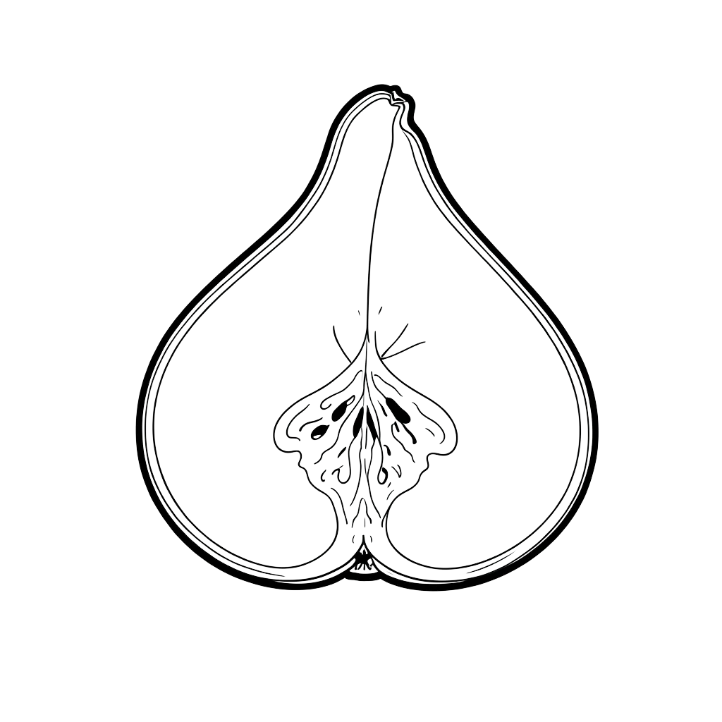 fig #asset_20260920_072723_8b44