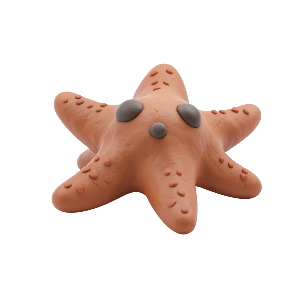 starfish #asset_20260921_044441_facb