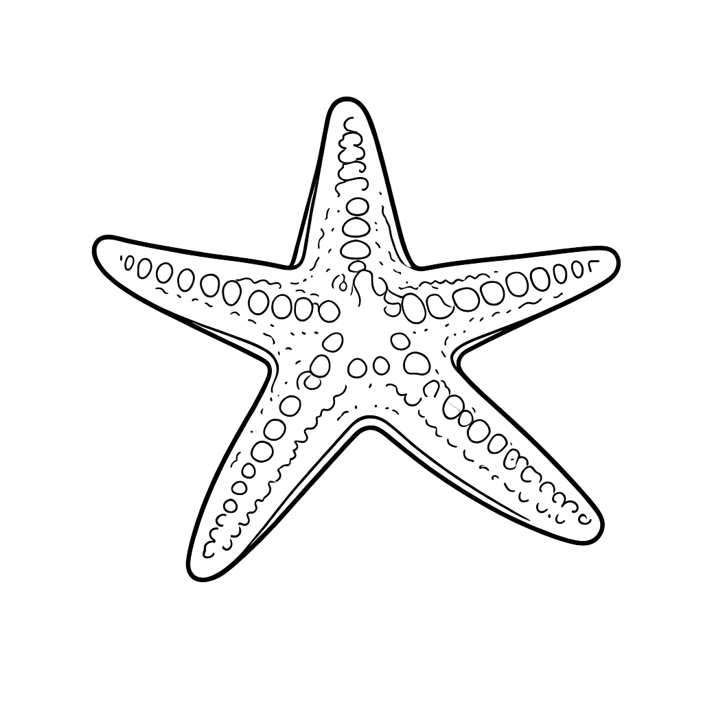starfish #asset_20260921_044441_facb