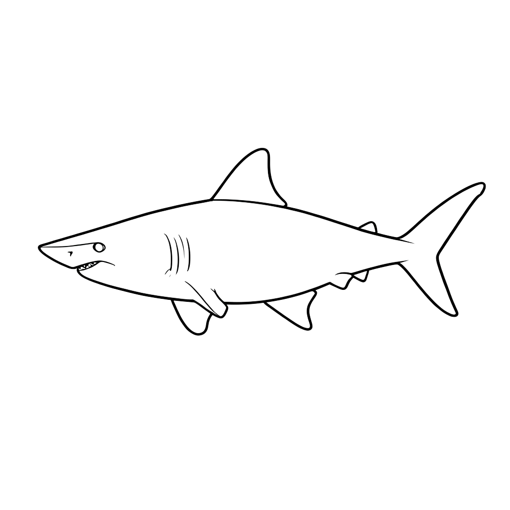shark #asset_20260921_044602_6252